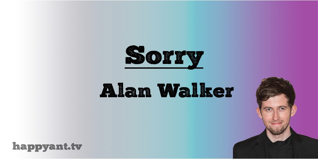 آلن واکر (Alan Walker) | Sorry