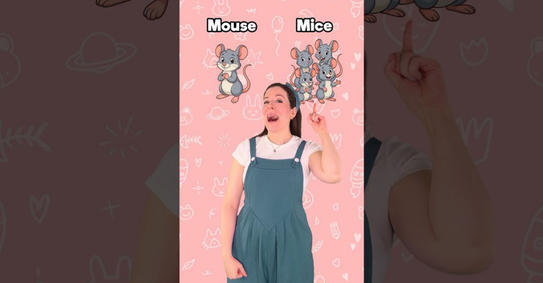 جمع های نامنظم انگلیسی