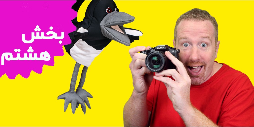 استیو و مگی (بخش هشتم)