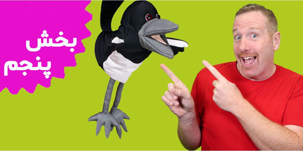 استیو و مگی (بخش پنجم)